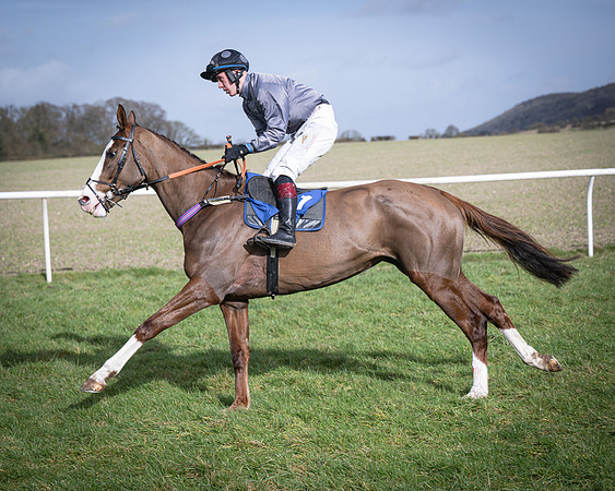 Race 3 - The Maiden Conditions (64 of 214)