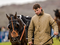 Race 3 - Young Horse maiden 2m5f (16 of 124).jpg