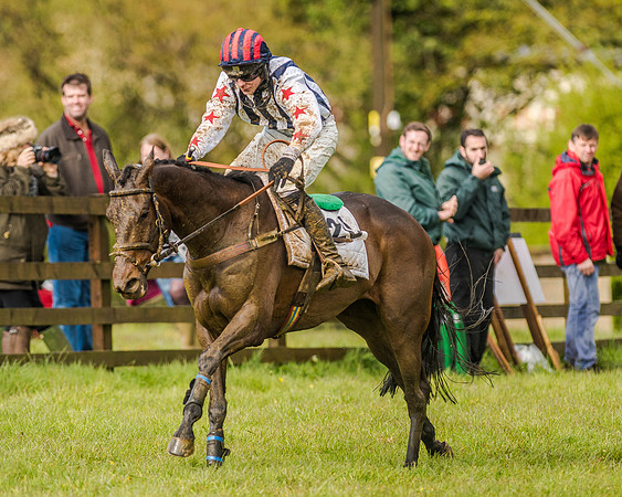 Race 5 - Open Maiden (126 of 147).jpg