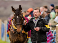 Race 3 - Young Horse maiden 2m5f (14 of 124).jpg