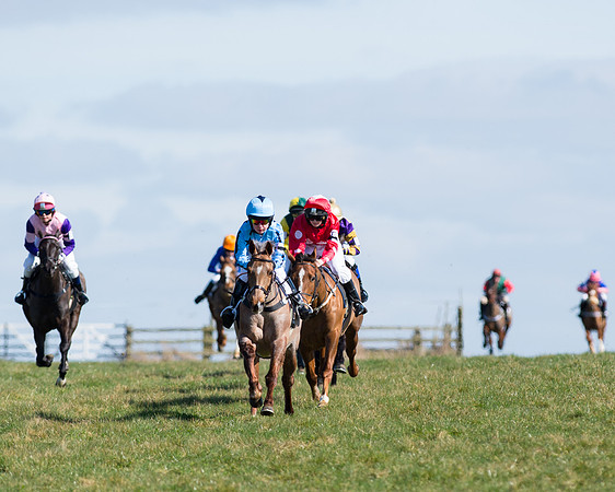 Oakley Ponies (13 of 96).jpg