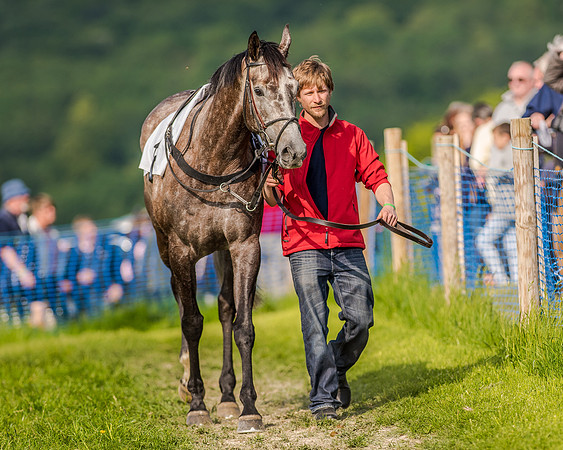 Race 7 - Div 1 - Open Maiden (6 of 94).jpg