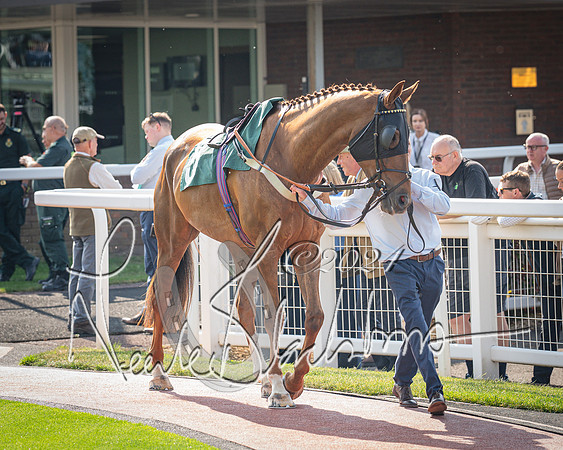 Race 1 - The Bottle Green Open Hunters steeplechase 2m62y (9 of 93)