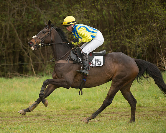 Race 5 - Open Maiden (47 of 147).jpg
