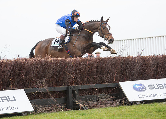 Race 7 - PPORA Novice Riders-60