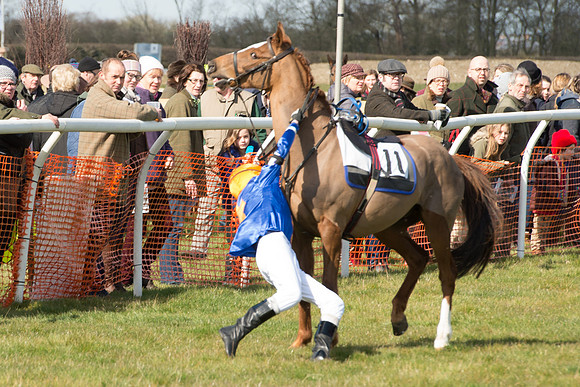Pony Race 1 - 138cm -48