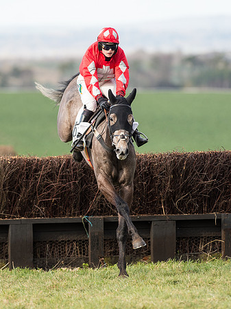 Race 6 - Open Maiden (52 of 110).jpg