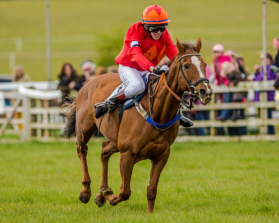Pony Race 3 (59 of 78).jpg