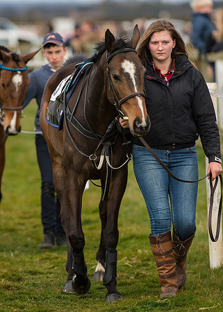 Pony Race 2 - 148cm -1
