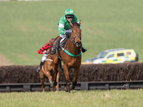 Race 2 - Confined Hunts Race (53 of 87).jpg