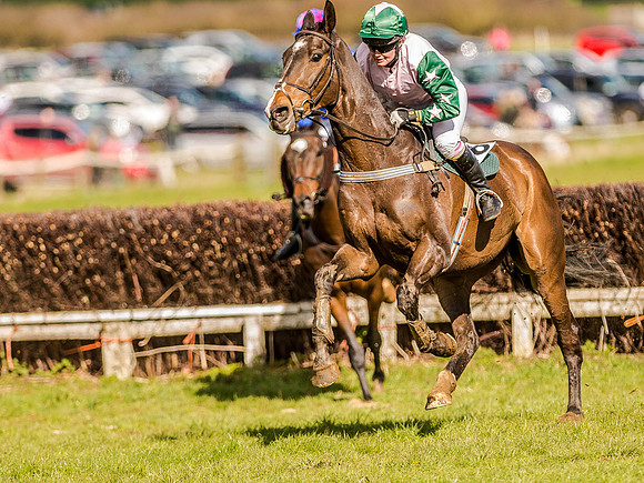Race 4 - Ladies Open [Nov-Vet] (45 of 82).jpg