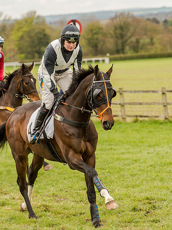 Race 3 - Young Horse maiden 2m5f (40 of 124).jpg