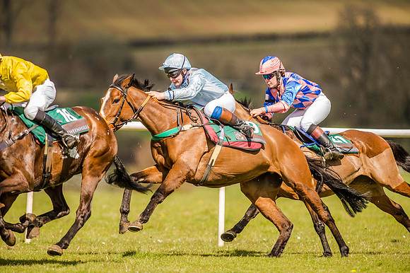 Pony Races (113 of 127).jpg