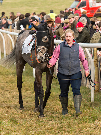 Race 6 - Open Maiden (13 of 110).jpg