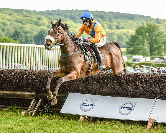 Race 7 - Div 2 - Open Maiden (102 of 163).jpg