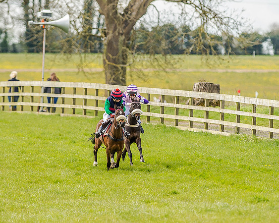 Pony Race 1  (27 of 65).jpg