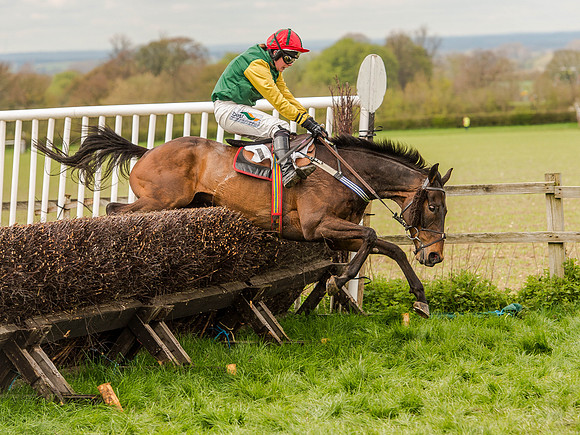 Race 1 - Confined Hunts (104 of 118).jpg