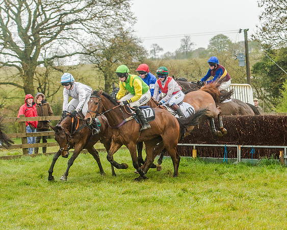 Race 5 - Restricted Race (63 of 146).jpg