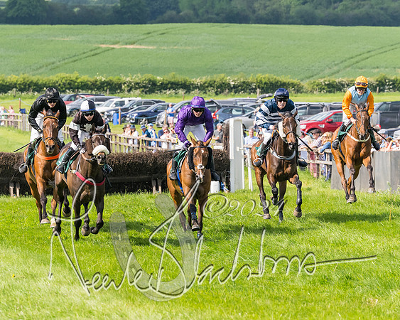 Race 4 - PPORA Novice Riders Final  (216 of 362)