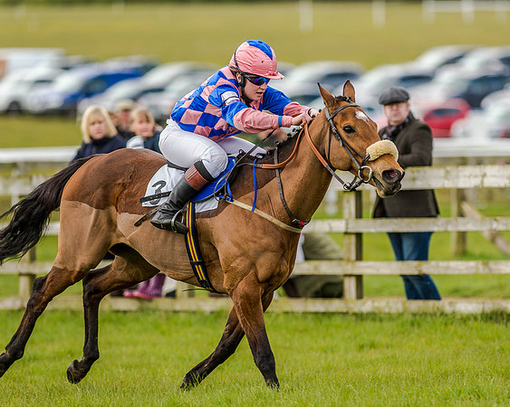 Pony Race 3 (42 of 78).jpg