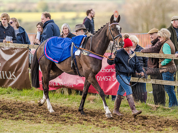 Race 6 - The Restricted Race [Nov-Vet] (15 of 84).jpg