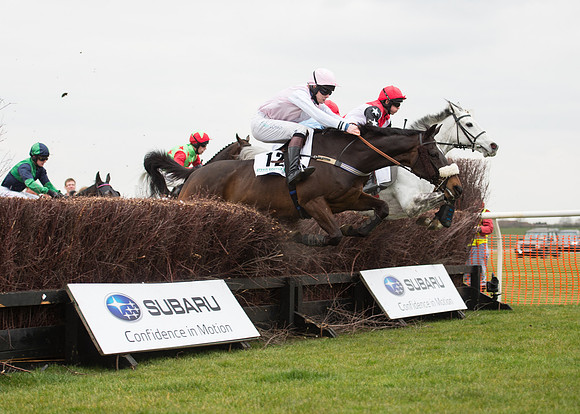 Race 6 - Confined Hunts-39