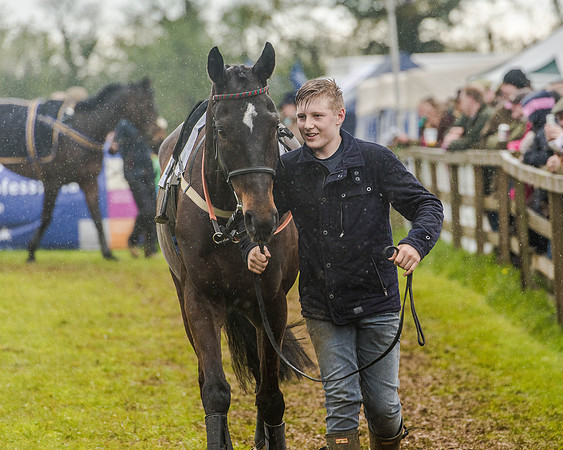 Race 5 - Open Maiden (14 of 147).jpg