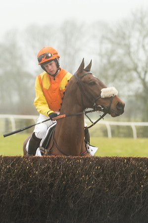 Race 1 - Confined Hunts (34 of 101).jpg