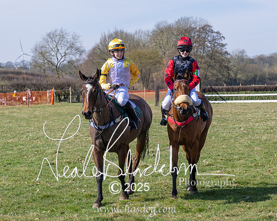 Pony Race 1 - Novice (29 of 38)