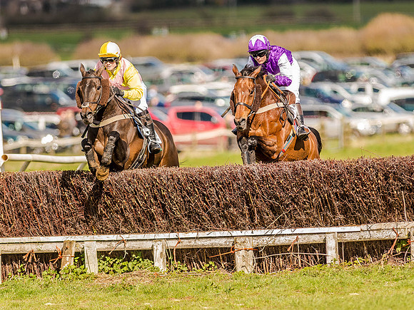 Race 4 - Ladies Open [Nov-Vet] (37 of 82).jpg