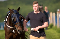 Race 7 - Div 1 - Open Maiden (20 of 94).jpg