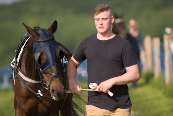 Race 7 - Div 1 - Open Maiden (20 of 94).jpg
