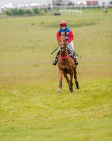 Race 2 - Open Maiden Race (9 of 80).jpg