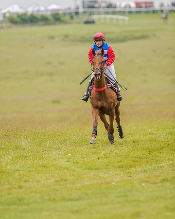 Race 2 - Open Maiden Race (9 of 80).jpg