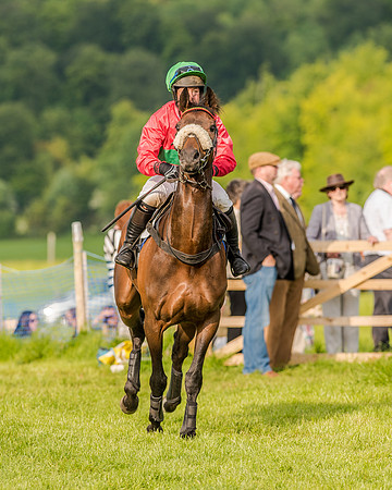 Race 7 - Div 2 - Open Maiden (45 of 163).jpg