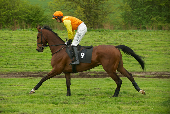 Race 7 - 2m4f Maiden 26