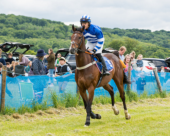 Race 2 - PPORA Novice Riders  (64 of 187)
