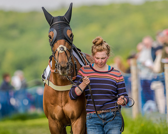 Race 7 - Div 2 - Open Maiden (10 of 163).jpg