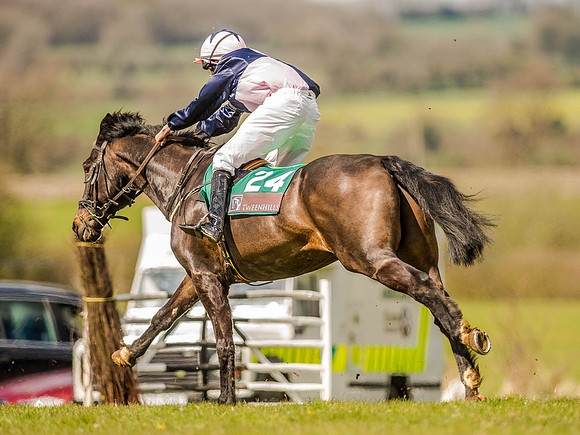 Pony Races (126 of 127).jpg