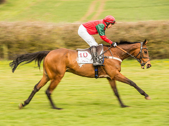 Race 2 - PPORA Club Members race (20 of 77).jpg