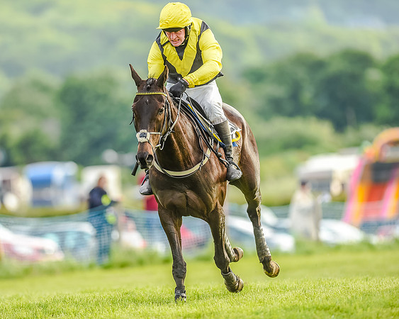 Race 7 - Div 2 - Open Maiden (123 of 163).jpg