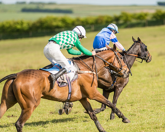 Race 6 - Open Maiden Race (69 of 71).jpg