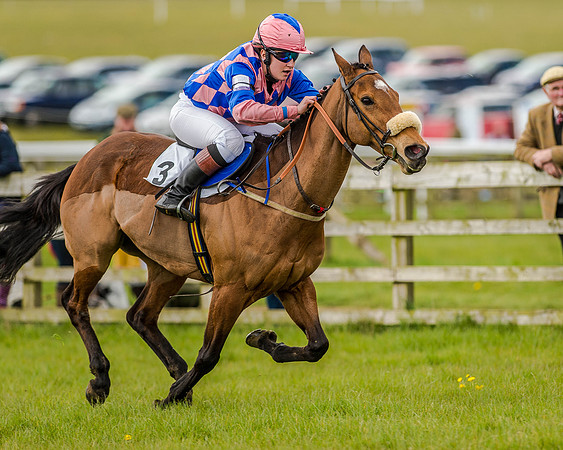 Pony Race 3 (43 of 78).jpg