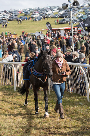 Race 4 - Novice and Veteran Riders race (10 of 46).jpg