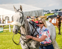 Race 6 - Open Maiden Race (16 of 176).jpg