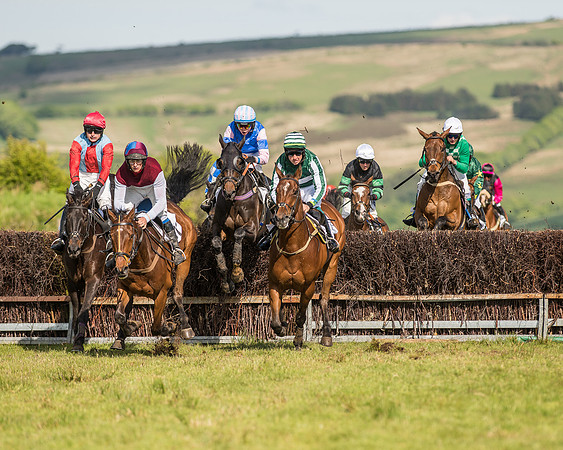 Race 6 - Open Maiden Race (49 of 71).jpg