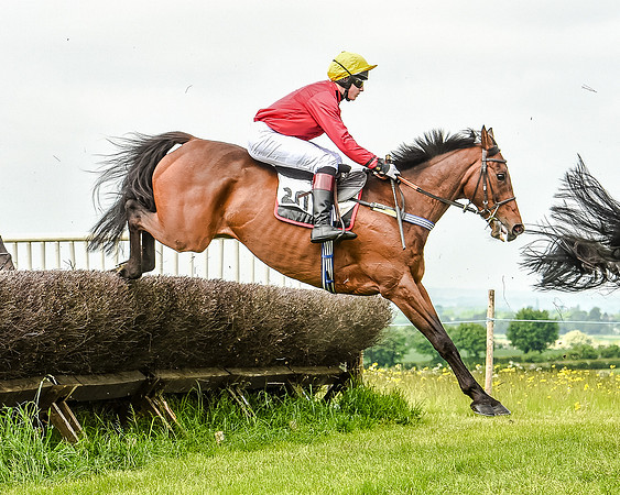 Race 2 - PPORA Members Novice Riders  (49 of 112).jpg