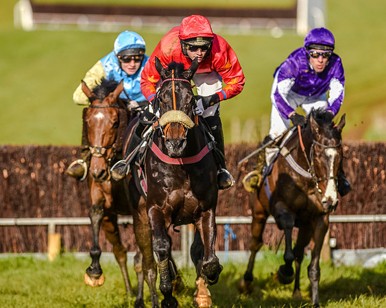 Race 7 - PPORA Club Members for Novice Riders (55 of 81).jpg