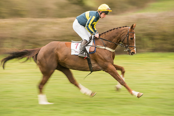 Race 7 - Open Maiden Division 2  (36 of 106).jpg