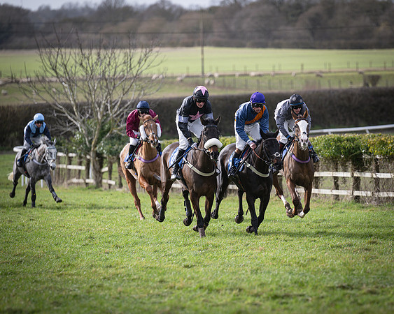 Race 3 - The Maiden Conditions (102 of 214)